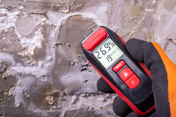 Best Office Mold Removal Services  in King George, VA