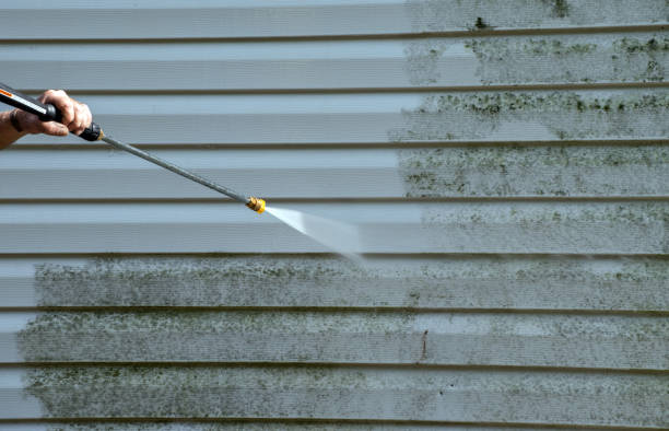 Professional Mold Removal in King George, VA