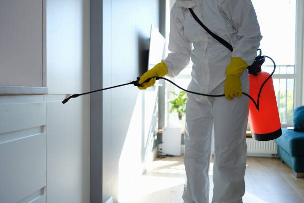 Crawl Space Mold Removal in King George, VA