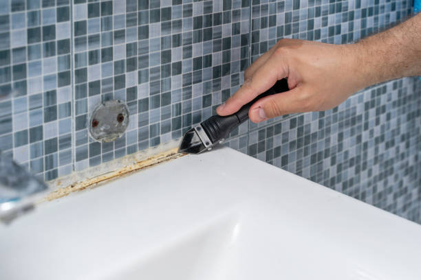 Best Emergency Mold Removal  in King George, VA