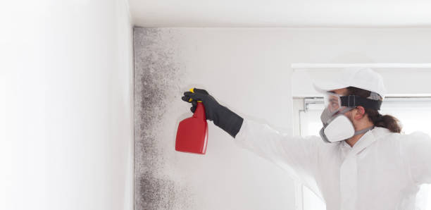 Best Mold Testing  in King George, VA
